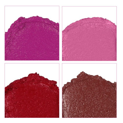 4 in 1 Lip Twist (Kit)